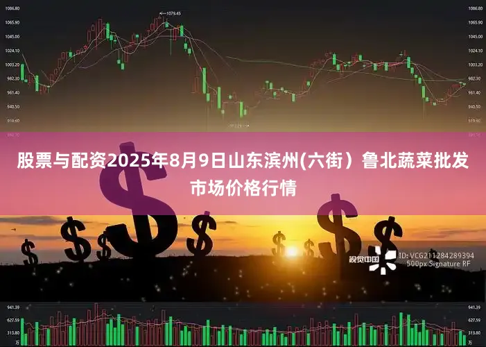 股票与配资2025年8月9日山东滨州(六街）鲁北蔬菜批发市场价格行情